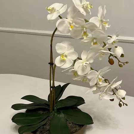 Póvoa Living House *